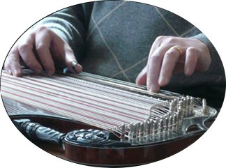 Hands playing a concert zither